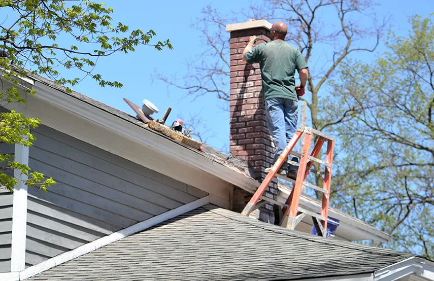 Chimney & Fireplace Inspections Services in Columbia, SC